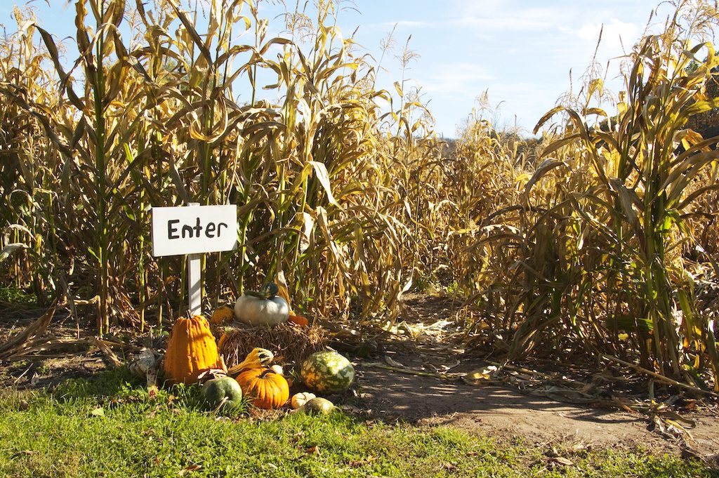 Family fun for Fall - pumpkin patches near new metro Atlanta homes for sale