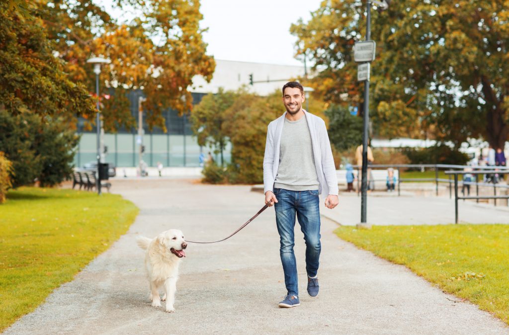 walk your dog at swift cantrell park