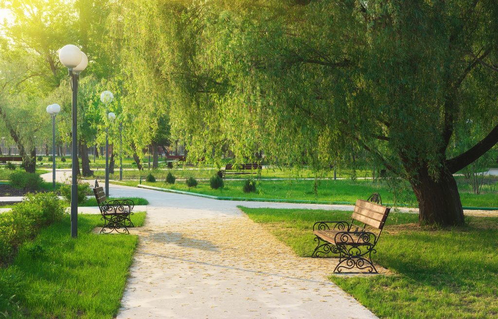 a park, such as those in covington Igor Goncharenko (c) 123rf