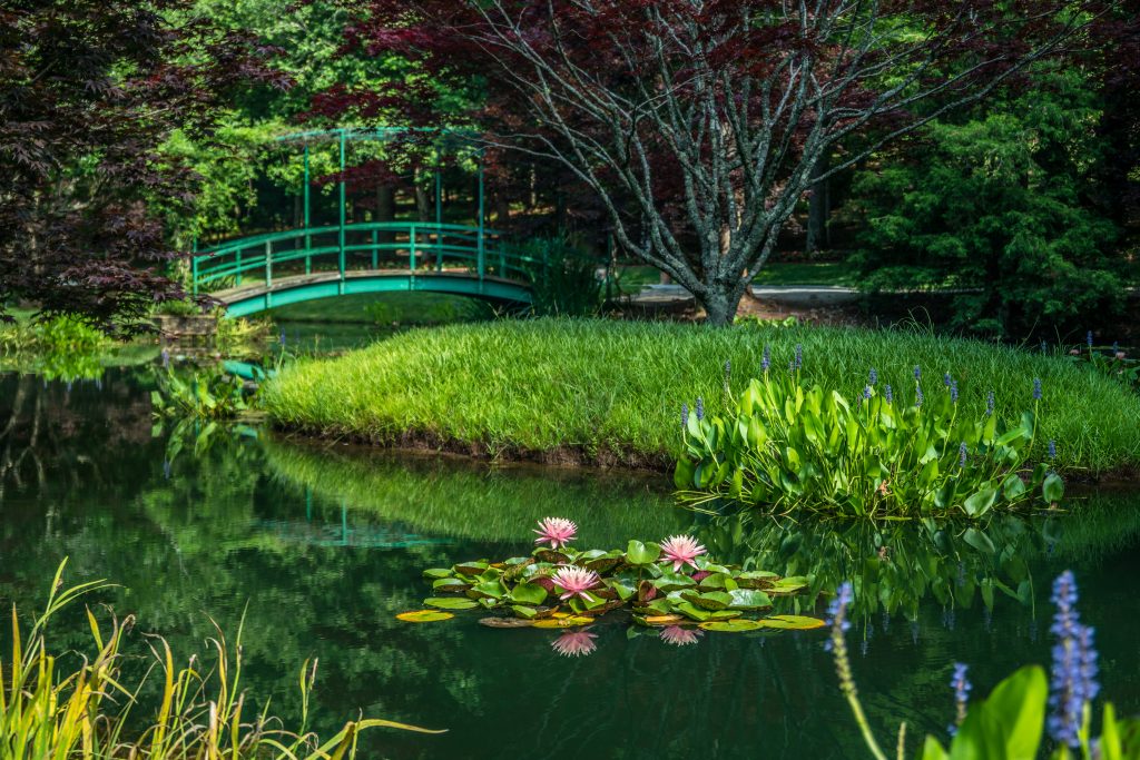 gibbs gardens, a gorgeous outdoor garden in ball ground ga Sandra Burm  (c) 123rf