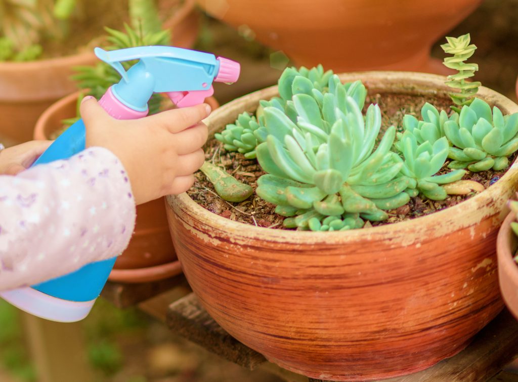 Child Watering Potted Plants