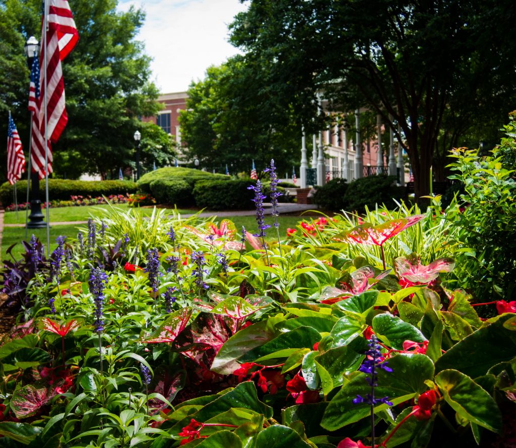 marietta square, where you'll find fine dining Chris Lauer © 123rf