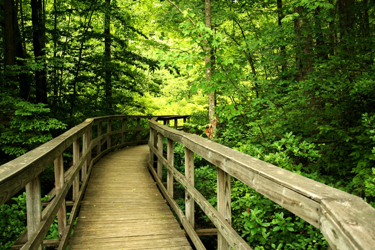 outdoor trail in state park living in douglasville puts you near beatiful nature