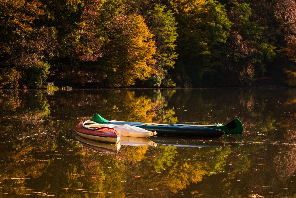 canoes on a lake, like Tribble Mill Park