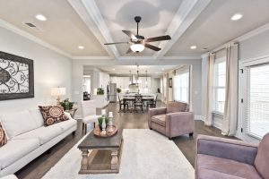 move-in ready living room home at Gunnerson Pointe
