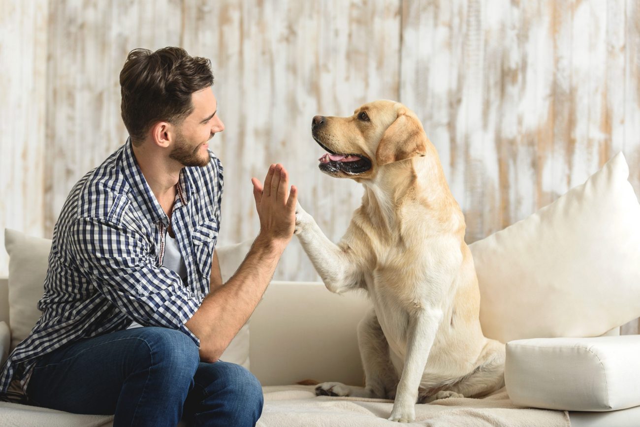 Pet parent with dog ©Olena Yakobchuk