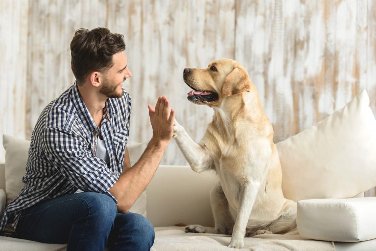 Man high fiving dog ©Olena Yakobchuk
