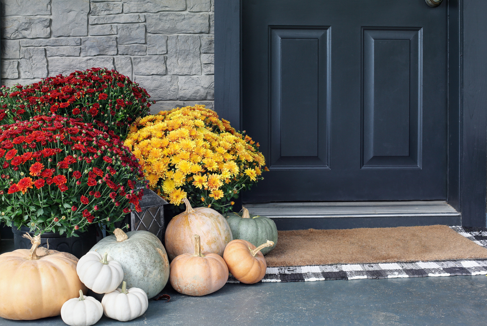 Fall Flowers ©Stephanie Frey