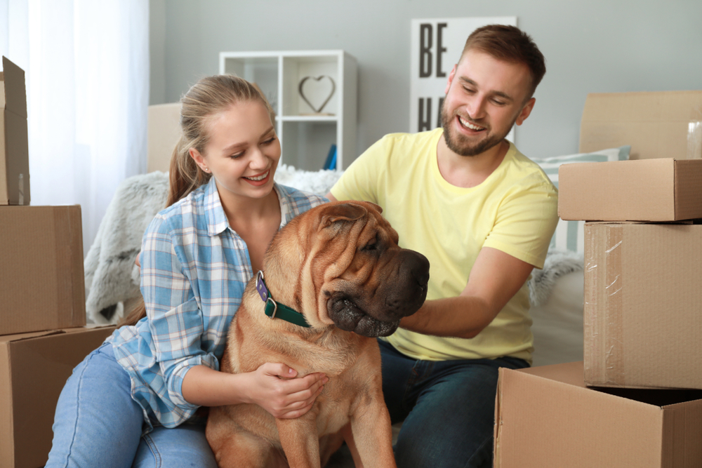 Couple with Dog Moving Into Home©Pixel-Shot