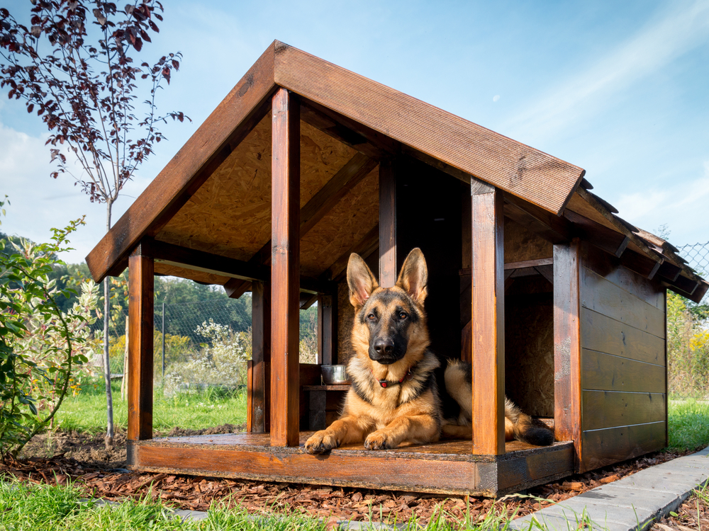 dog in doghouse ©pryzmat
