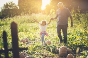 a grandad holds his grandaughter's hand while they walk through a pumpkin patch ©Mladen Zivkovic